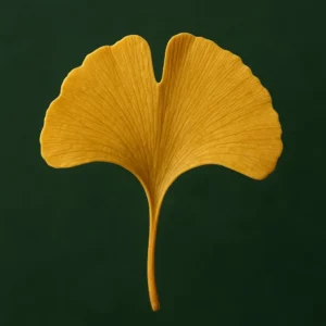 Folha de Ginkgo Biloba: Beleza Natural e Simbolismo Antigo