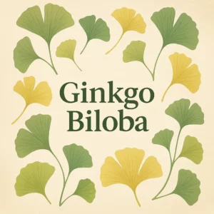 Ilustração digital em formato quadrado com folhas de Ginkgo Biloba verdes e amarelas a rodear o título “Ginkgo Biloba” ao centro.
