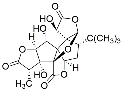 Estrutura química vetorial do ginkgólido B, composto bioativo exclusivo do Ginkgo Biloba, com anéis de carbono, grupos hidroxila e grupos cetona representados em fundo branco.