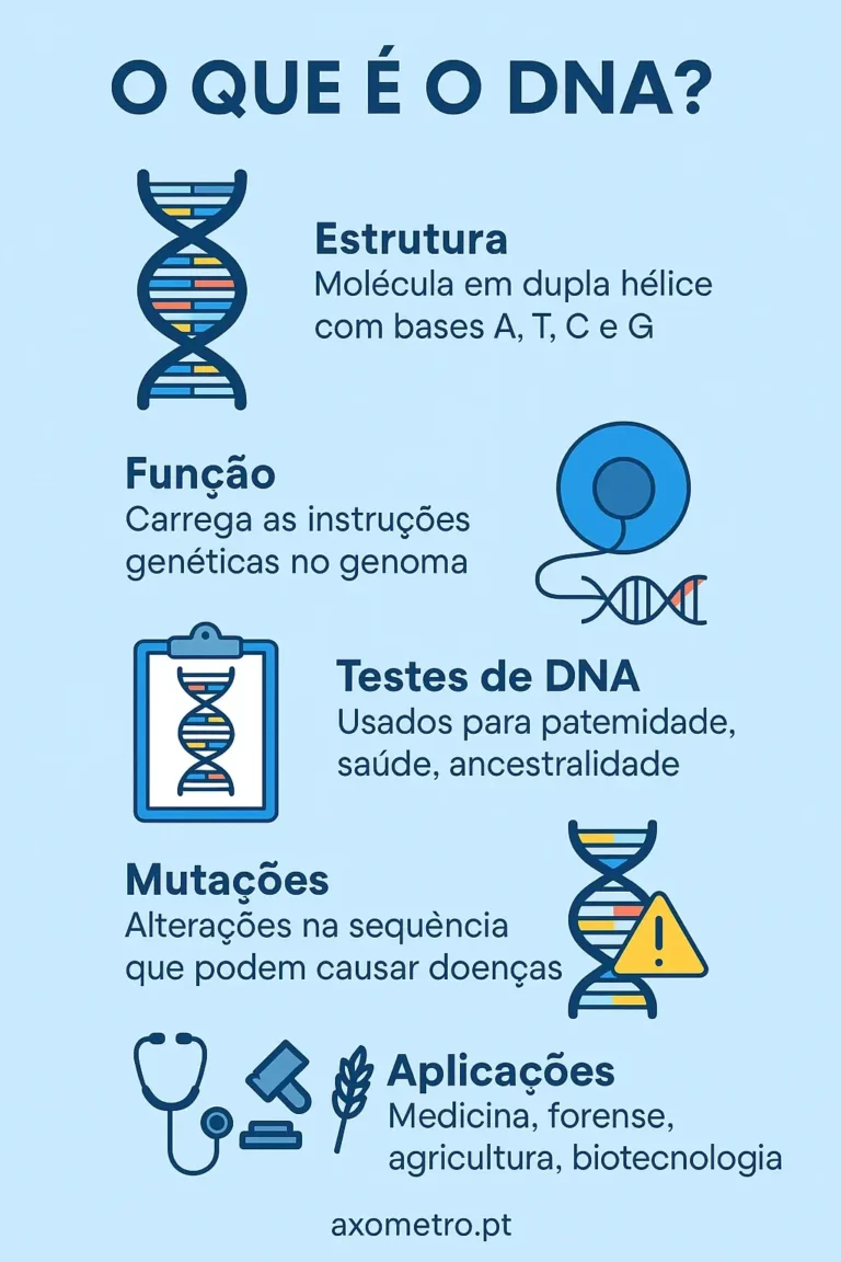 Infográfico em estilo flat design com ilustrações que explicam o DNA: estrutura, função, testes de DNA, mutações e aplicações.